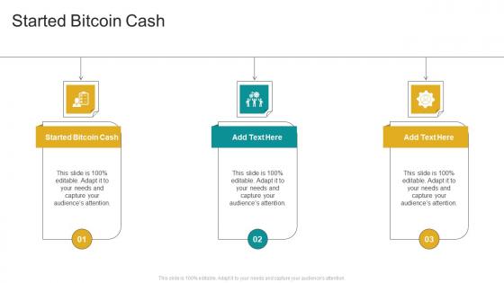 Started Bitcoin Cash In Powerpoint And Google Slides Cpb