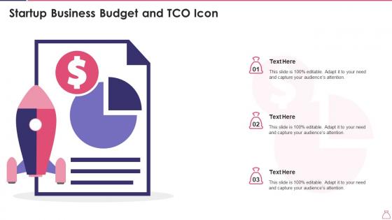 Startup Business Budget And TCO Icon