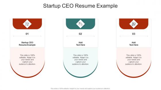 Startup CEO Resume Example In Powerpoint And Google Slides Cpb