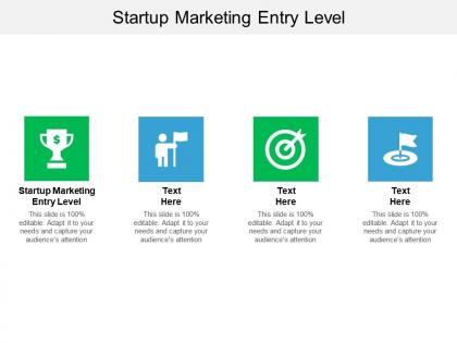 Startup marketing entry level ppt powerpoint presentation icon ideas cpb