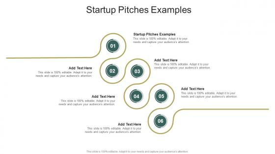 Startup Pitches Examples In Powerpoint And Google Slides Cpb