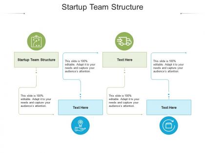 Startup team structure ppt powerpoint presentation pictures slide cpb