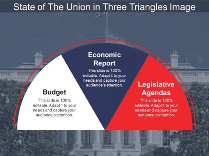 State of the union in three triangles image