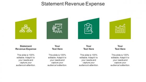Statement revenue expense ppt powerpoint presentation icon backgrounds cpb