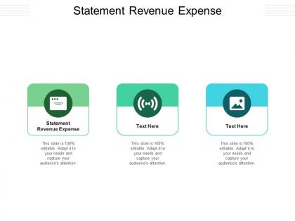 Statement revenue expense ppt powerpoint presentation layouts clipart cpb