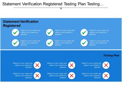 Statement verification registered testing plan testing reporting test