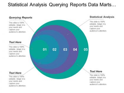 Statistical analysis querying reports data marts information providers