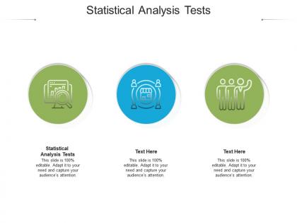 Statistical analysis tests ppt powerpoint presentation infographic template portrait cpb