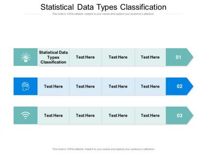 Statistical data types classification ppt powerpoint maker cpb