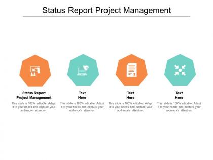 Status report project management ppt powerpoint presentation summary inspiration cpb