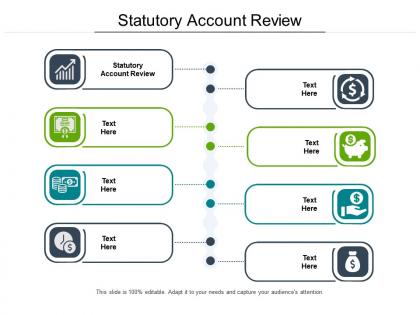 Statutory account review ppt powerpoint presentation ideas visuals cpb