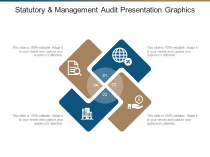 Statutory and management audit presentation graphics