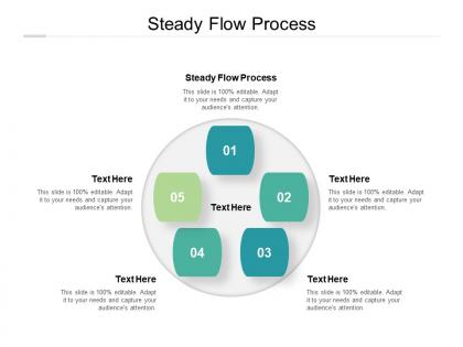 Steady flow process ppt powerpoint presentation gallery design ideas cpb
