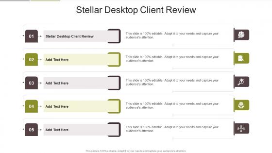 Stellar Desktop Client Review In Powerpoint And Google Slides Cpb