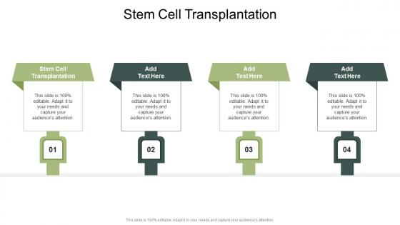 Stem Cell Transplantation In Powerpoint And Google Slides Cpb