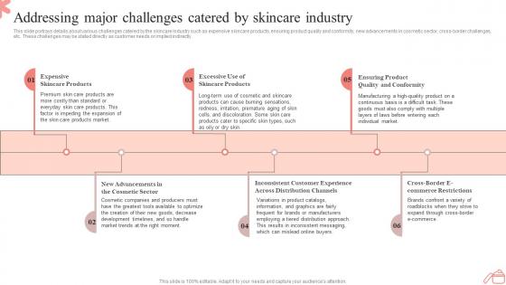 Step By Step Guide To Skincare Addressing Major Challenges Catered By Skincare Industry BP SS
