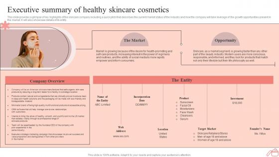Step By Step Guide To Skincare Executive Summary Of Healthy Skincare Cosmetics BP SS