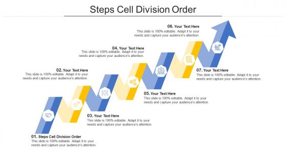 Steps cell division order ppt powerpoint presentation file mockup cpb