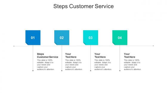 Steps customer service ppt powerpoint presentation summary show cpb