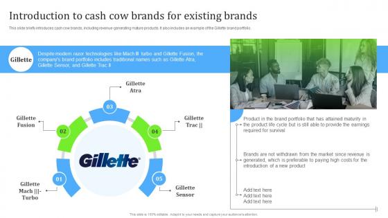 Steps For Building Brand Portfolio Strategy Introduction To Cash Cow Brands For Existing