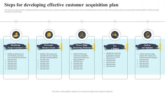 Steps For Developing Effective Customer Acquisition Plan Complete Guide To Customer Acquisition