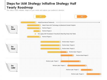 Steps for iam strategy initiative strategy half yearly roadmap