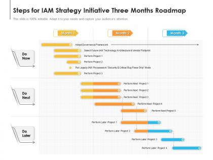 Steps for iam strategy initiative three months roadmap