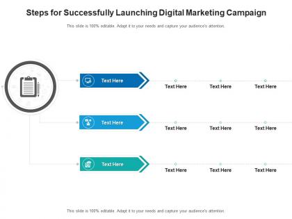 Steps for successfully launching digital marketing campaign infographic template