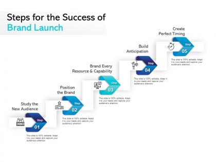 Steps for the success of brand launch