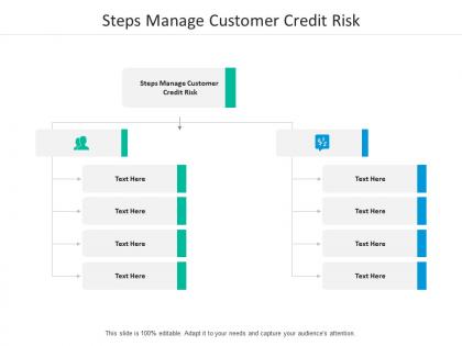 Steps manage customer credit risk ppt powerpoint presentation slides guide cpb