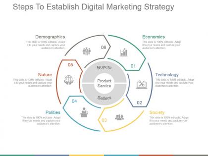 Steps to establish digital marketing strategy ppt examples