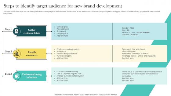 Steps To Identify Target Audience For New Brand Development Product Marketing And Positioning MKT SS V