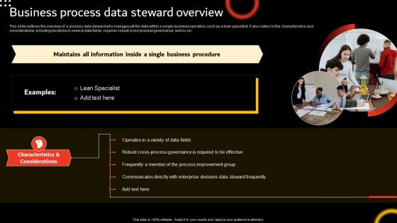 Stewardship By Function Model Business Process Data Steward Overview