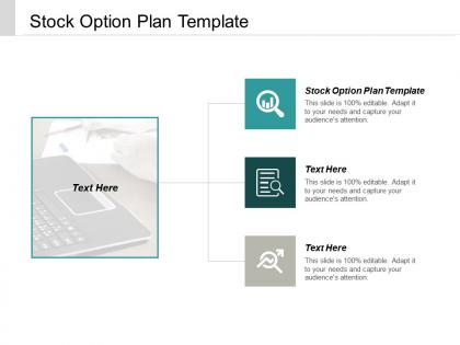 Stock option plan template ppt powerpoint presentation ideas graphics cpb