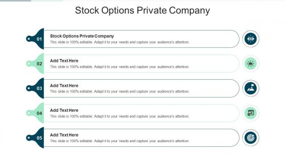 Stock Options Private Company In Powerpoint And Google Slides Cpb