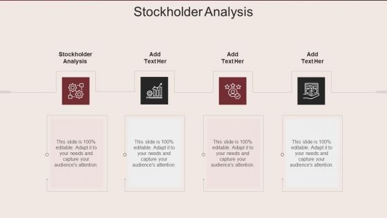 Stockholder Analysis In Powerpoint And Google Slides Cpb