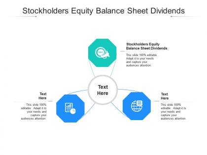 Stockholders equity balance sheet dividends ppt powerpoint presentation infographic template example cpb