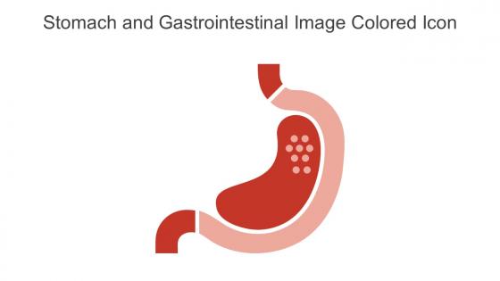 Stomach And Gastrointestinal Image Colored Icon In Powerpoint Pptx Png And Editable Eps Format