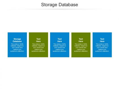 Storage database ppt powerpoint presentation outline designs download cpb