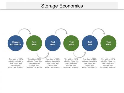 Storage economics ppt powerpoint presentation professional format ideas cpb