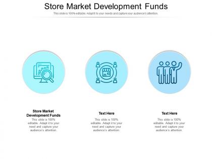 Store market development funds ppt powerpoint infographics templates cpb