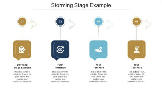 Storming Stage Example Ppt Powerpoint Presentation Infographics Graphics Pictures Cpb