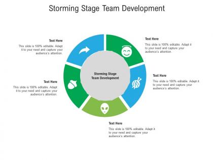 Storming stage team development ppt powerpoint presentation file shapes cpb