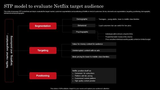 Stp Model To Evaluate Netflix Target Audience Netflix Strategy For Business Growth And Target Ott Market