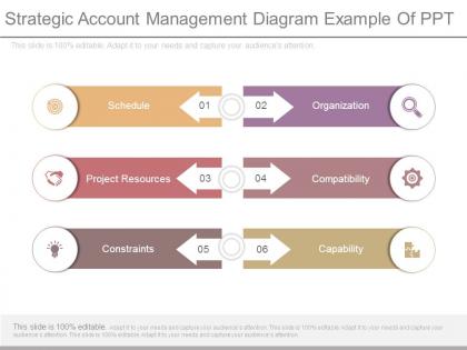 Strategic account management diagram example of ppt