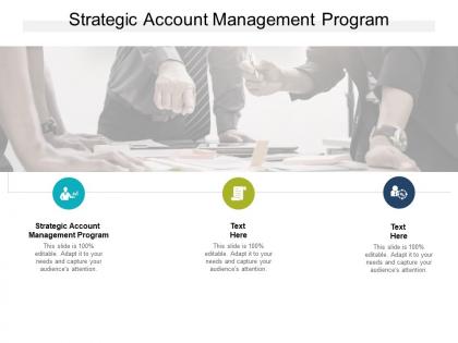 Strategic account management program ppt powerpoint presentation gallery cpb
