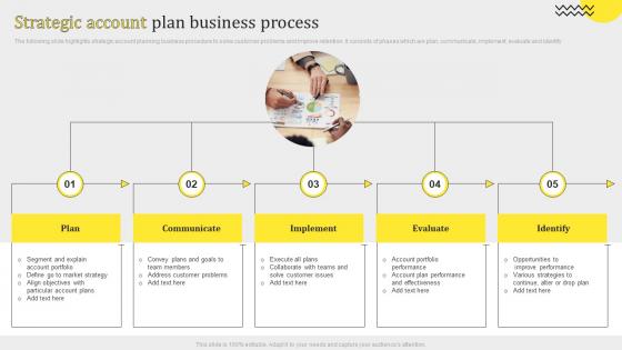 Strategic Account Plan Business Process