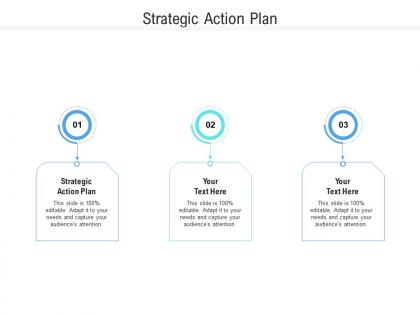 Strategic action plan ppt powerpoint presentation portfolio master slide cpb