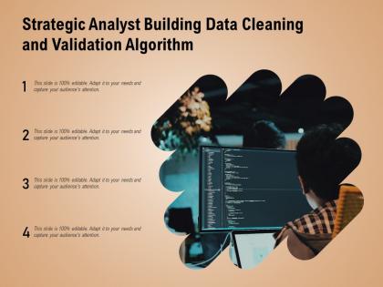 Strategic analyst building data cleaning and validation algorithm