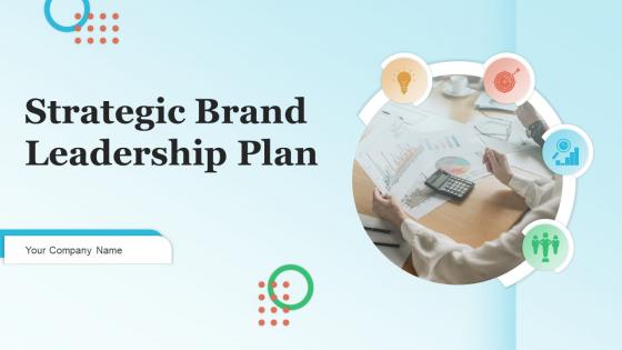 Strategic Brand Leadership Plan Powerpoint Presentation Slides Branding CD V